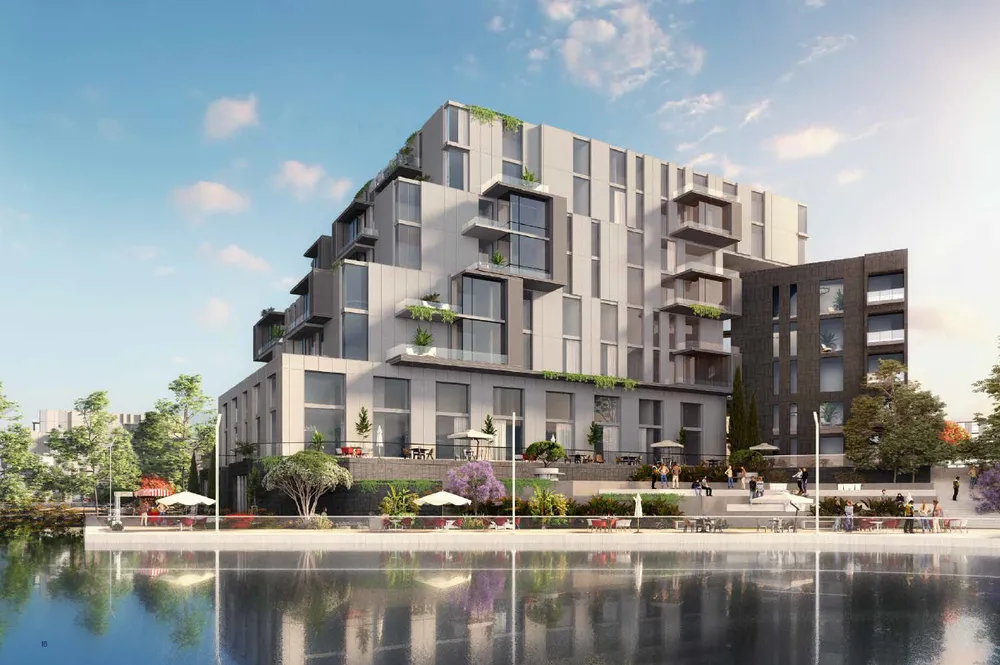 205 Arkan Palm