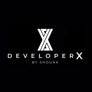Developer X