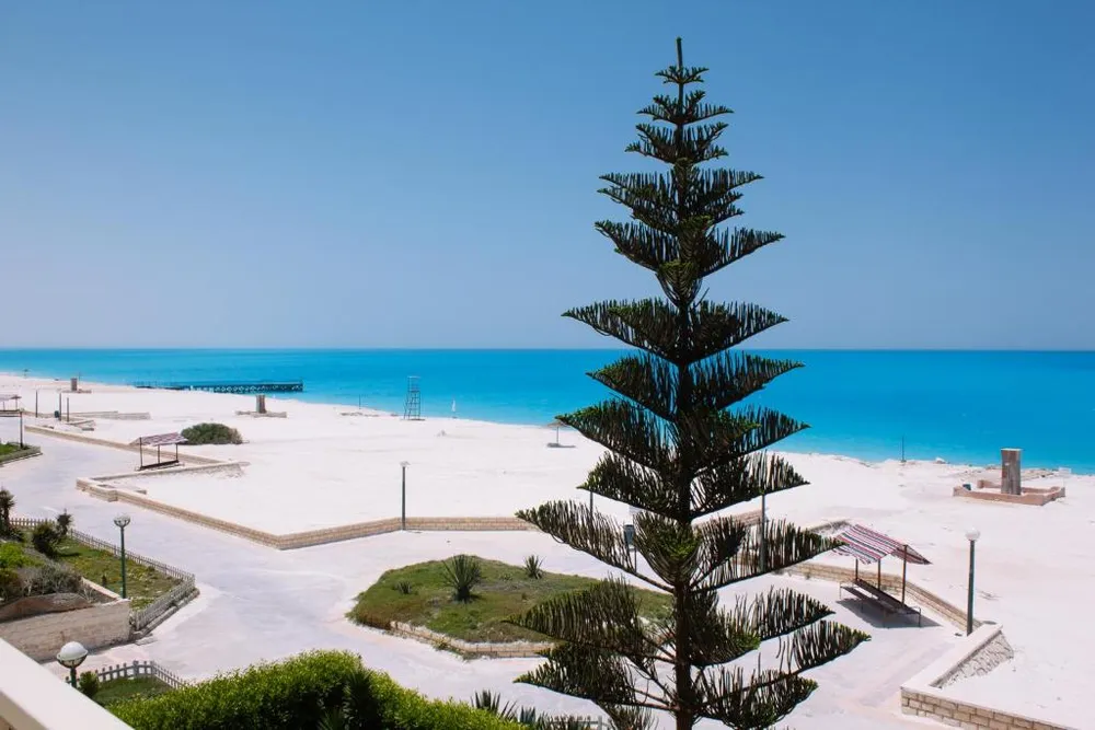 Green Beach