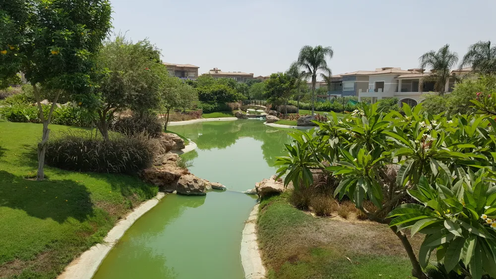 Lake View