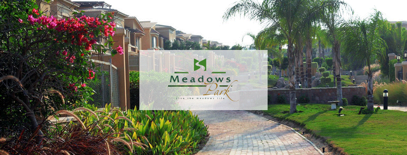Meadows Park master plan