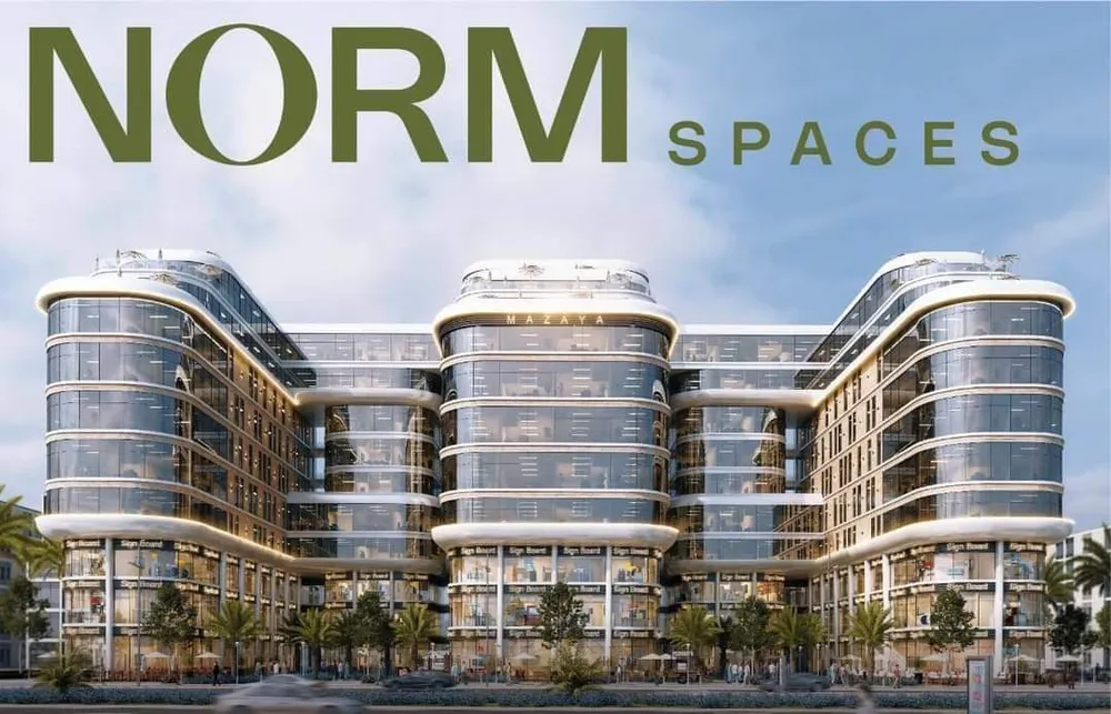 Norm Spaces