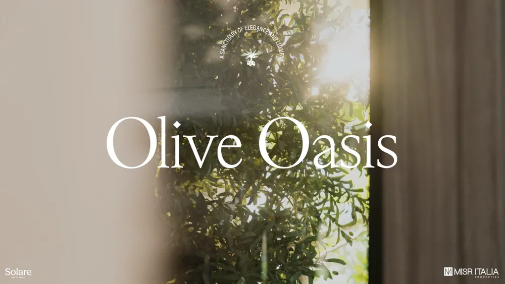 Olive Oasis – Solare