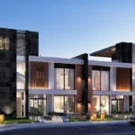 New Zayed area